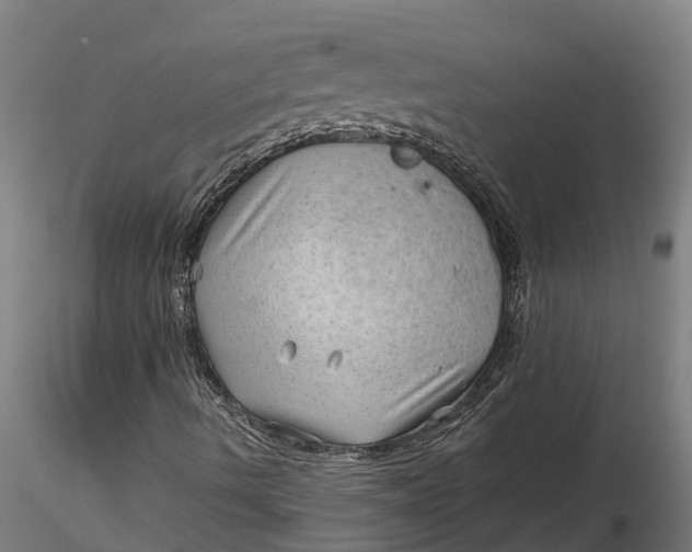 X0000115681490200912031407