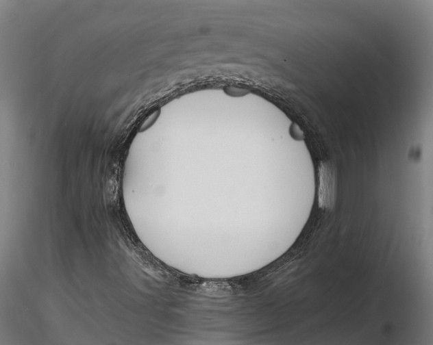 X0000115681491200912031407