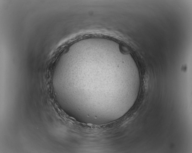 X0000115681494200912031407