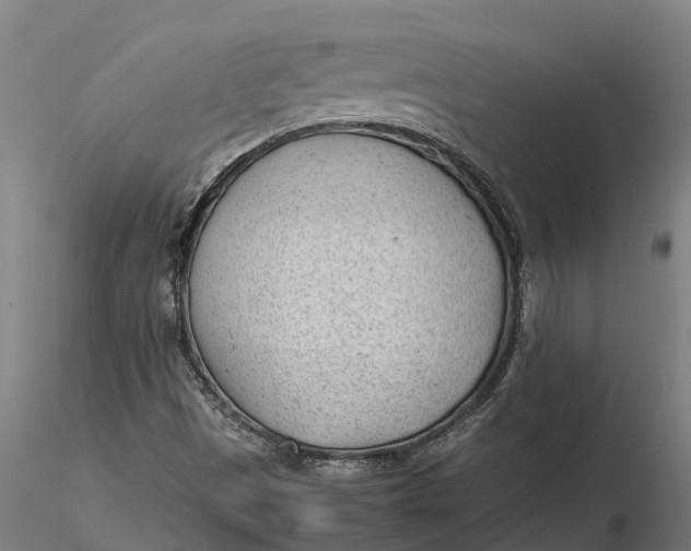 X0000115681497200912031407