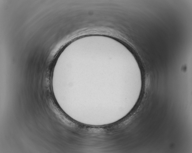 X0000115681498200912031407