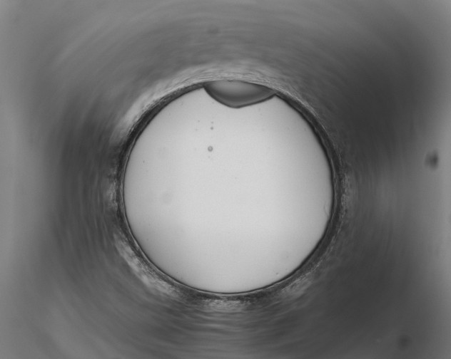 X0000115681499200912031407