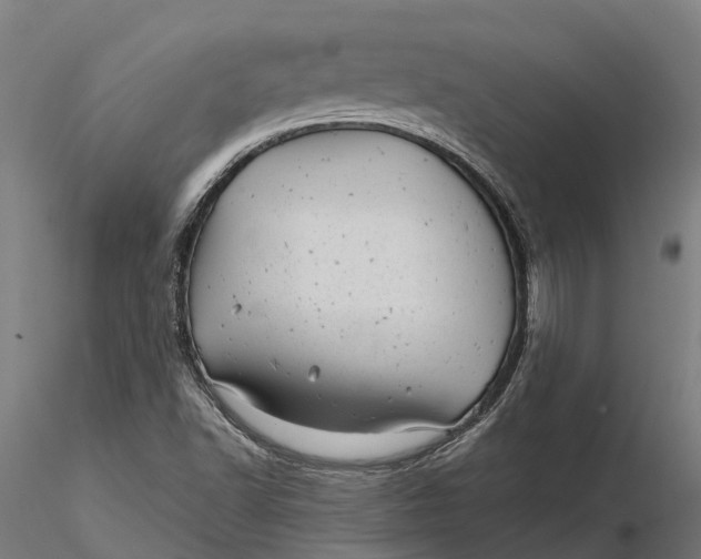 X0000115681502200912031407