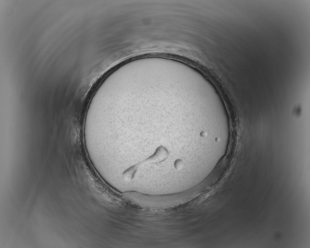 X0000115681505200912031407