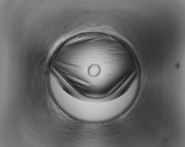 X0000115681506200912031407