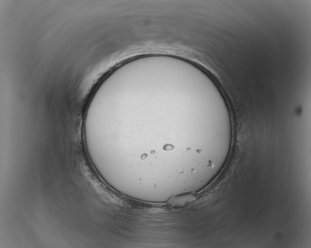 X0000115681507200912031407