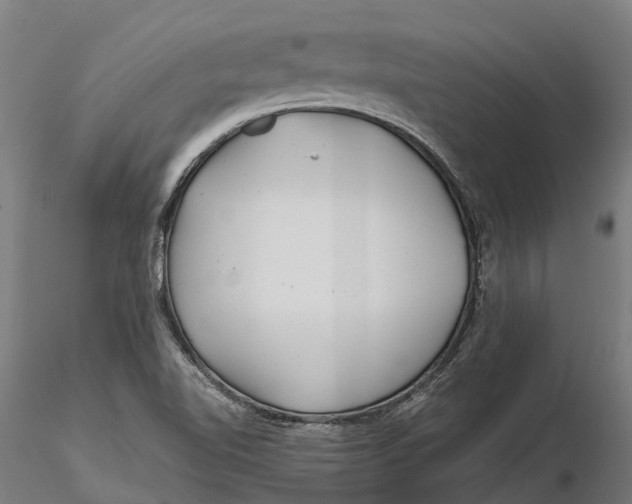 X0000115681510200912031407