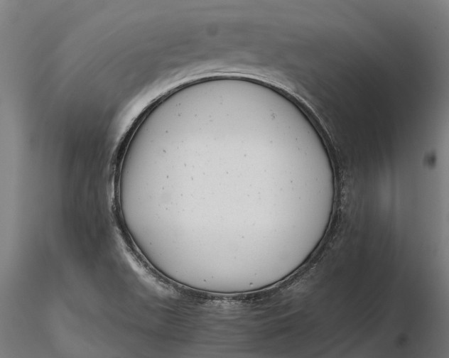 X0000115681511200912031407