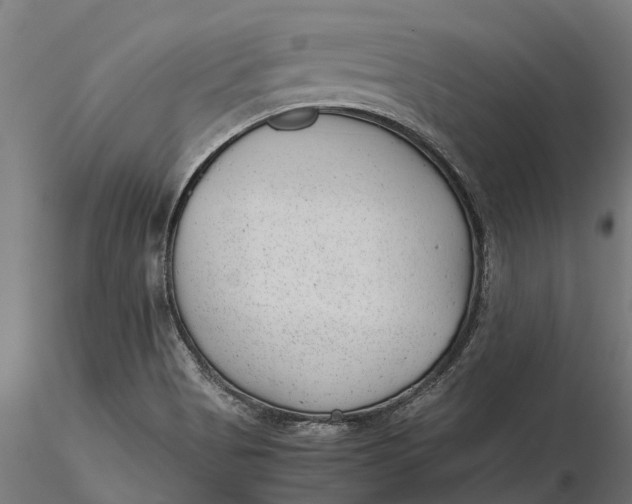 X0000115681513200912031407