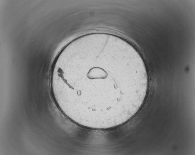 X0000115681514200912031407