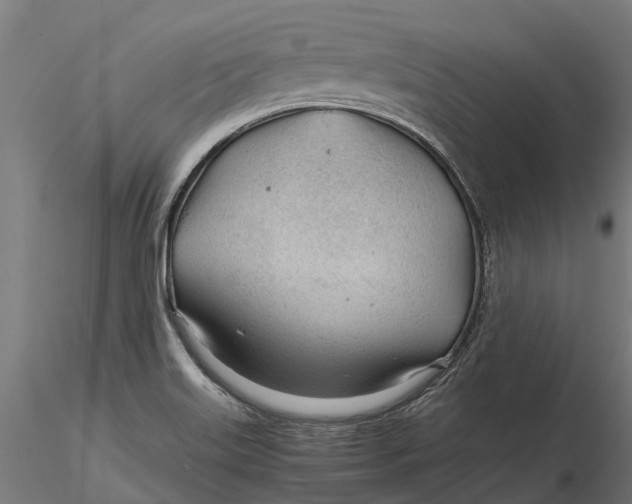 X0000115681515200912031407