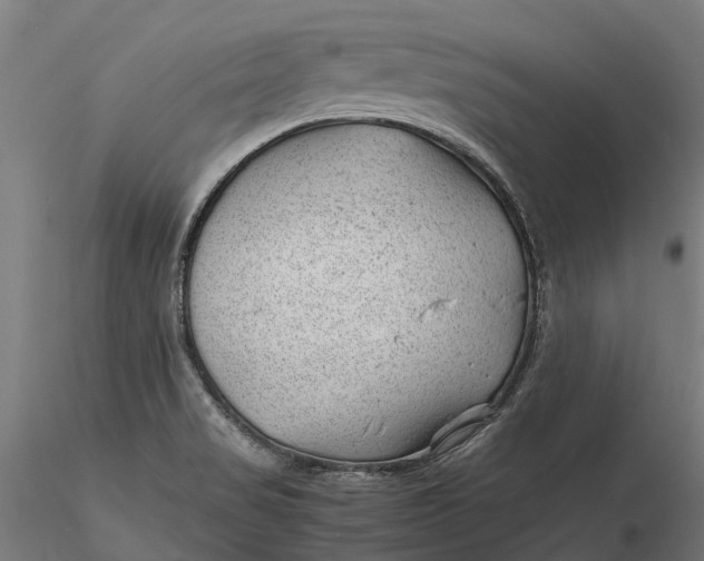 X0000115681517200912031407