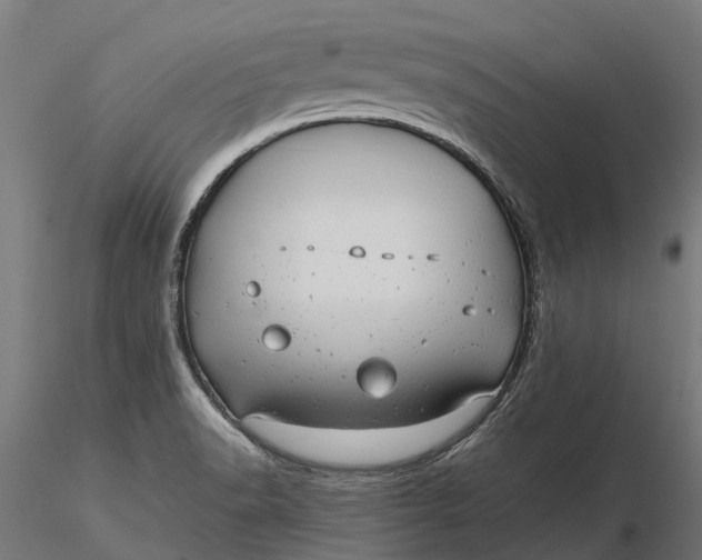 X0000115681518200912031407