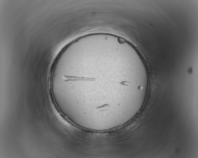 X0000115681519200912031407