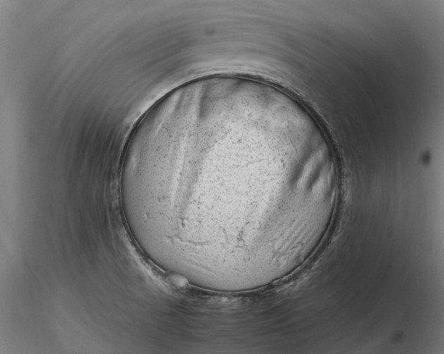 X0000115681521200912031407