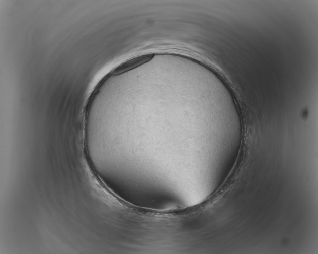 X0000115681522200912031407