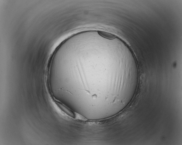 X0000115681523200912031407