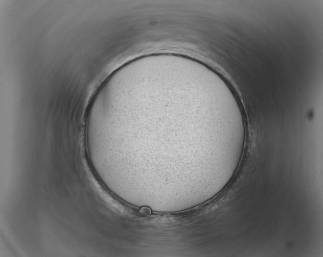 X0000115681525200912031408