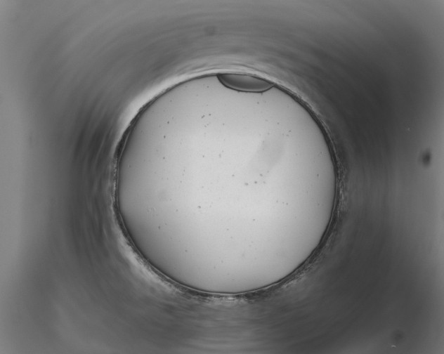 X0000115681526200912031408