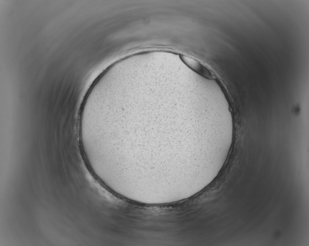 X0000115681527200912031408