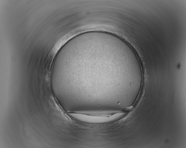 X0000115681529200912031408