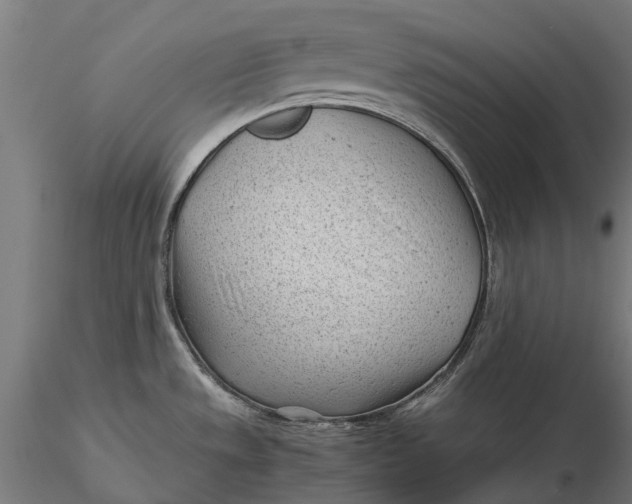 X0000115681533200912031408