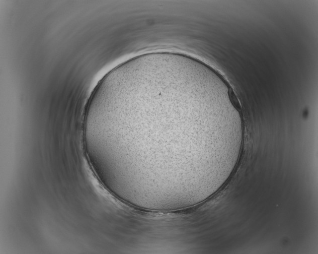 X0000115681534200912031408