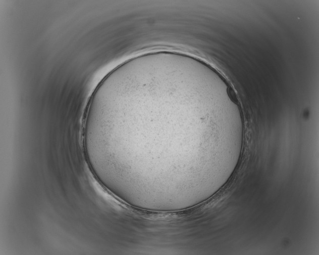 X0000115681535200912031408