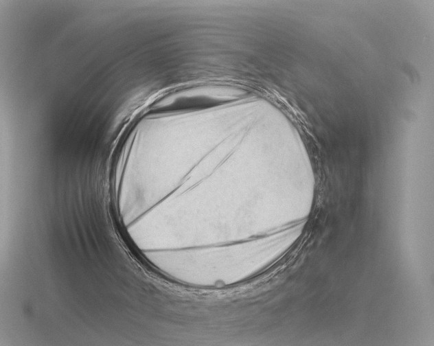 X0000115680002200912101143