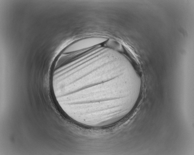 X0000115680008200912101143