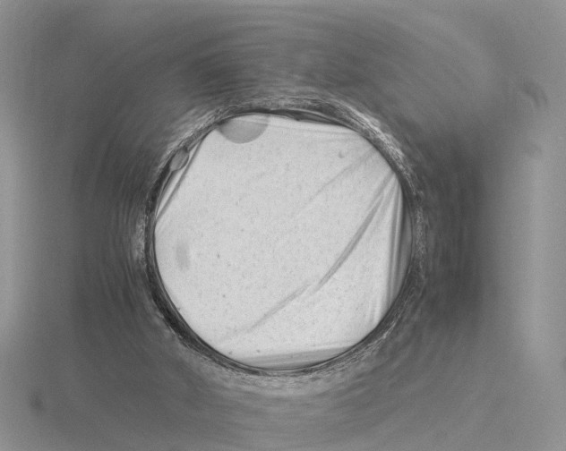 X0000115680010200912101142