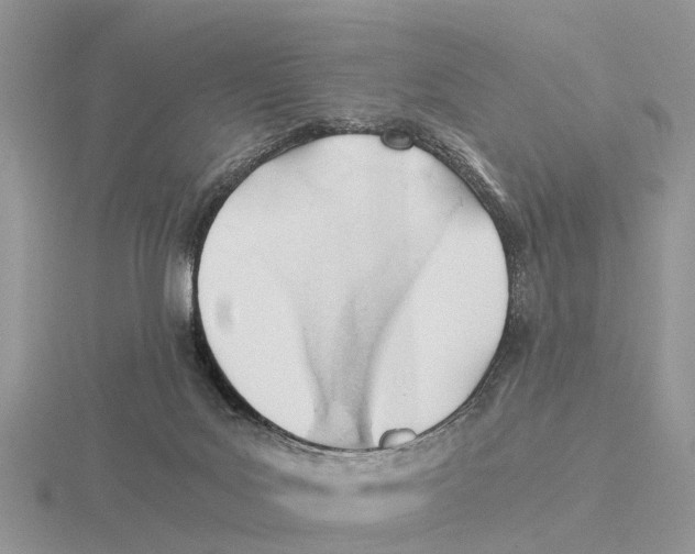 X0000115680027200912101142