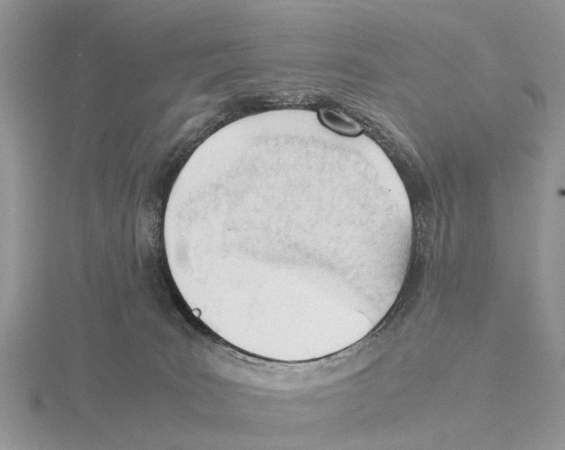 X0000115680035200912101142