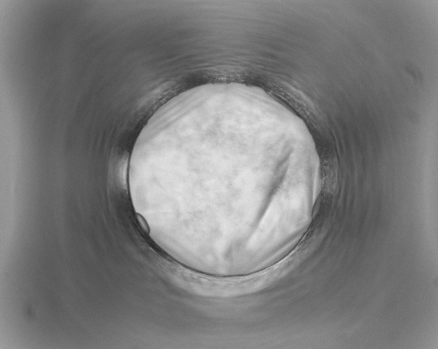 X0000115680047200912101142