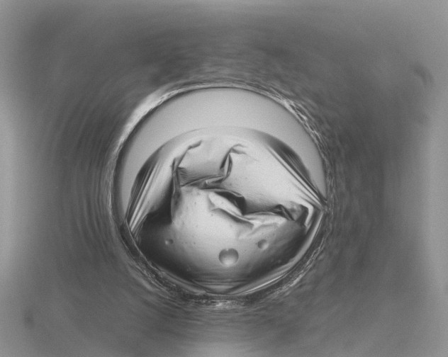X0000115680056200912101141