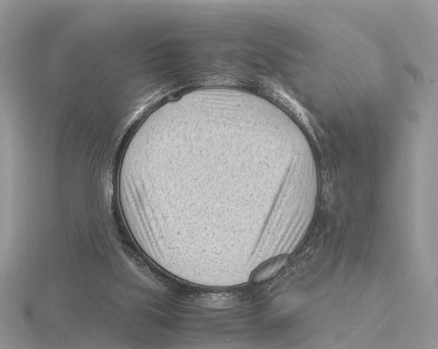 X0000115680059200912101141