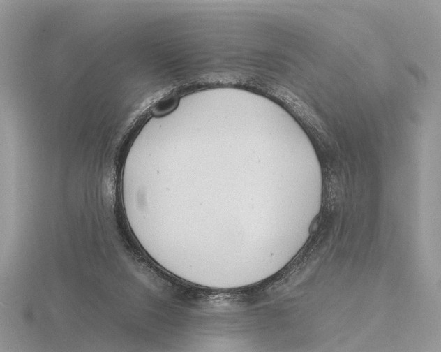 X0000115680064200912101141