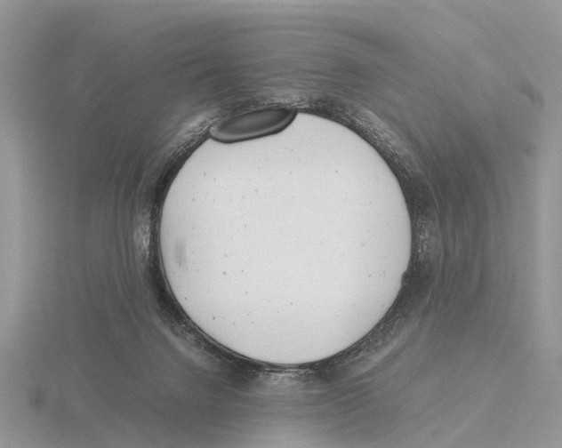 X0000115680072200912101142