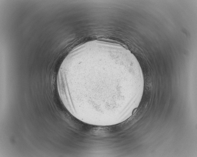 X0000115680082200912101142