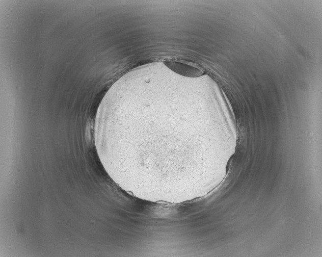 X0000115680094200912101142