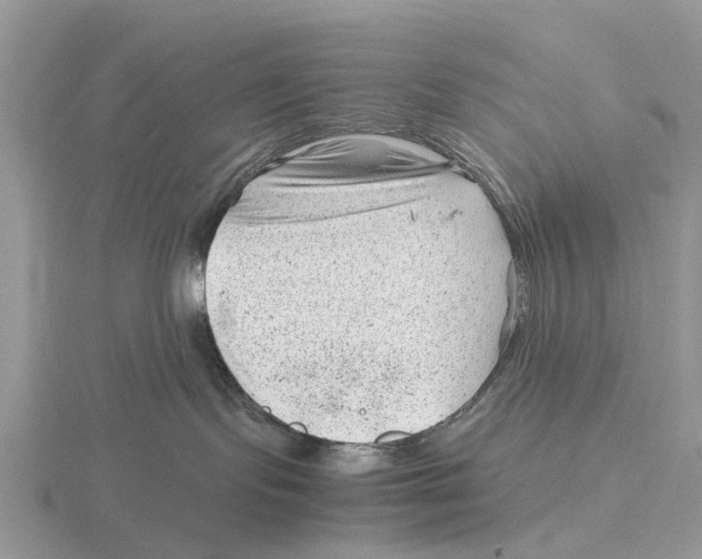X0000115680095200912101142