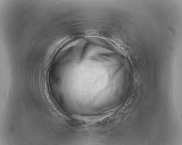 X0000115680097200912101141