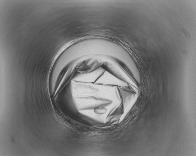 X0000115680100200912101141
