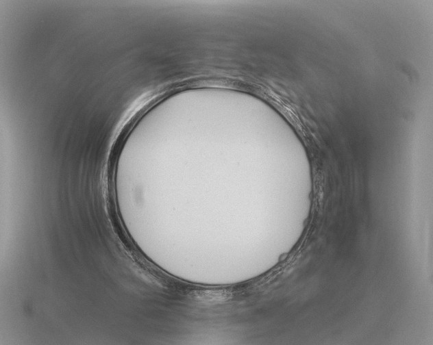 X0000115680102200912101141