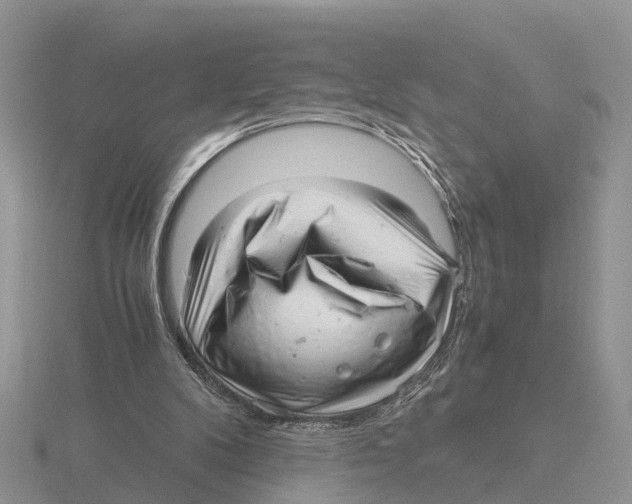 X0000115680104200912101141