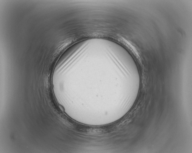 X0000115680105200912101141