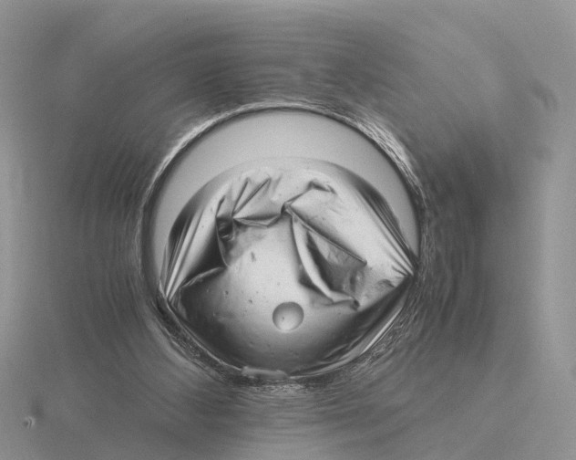 X0000115680108200912101141