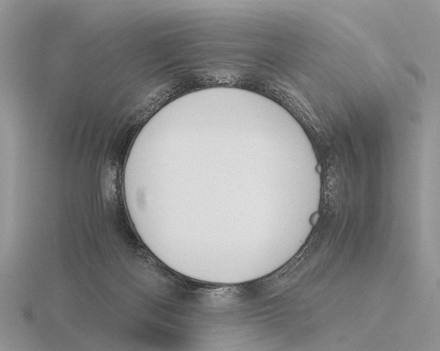 X0000115680122200912101141