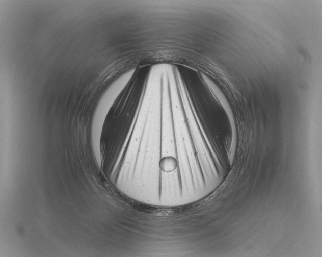 X0000115680124200912101141