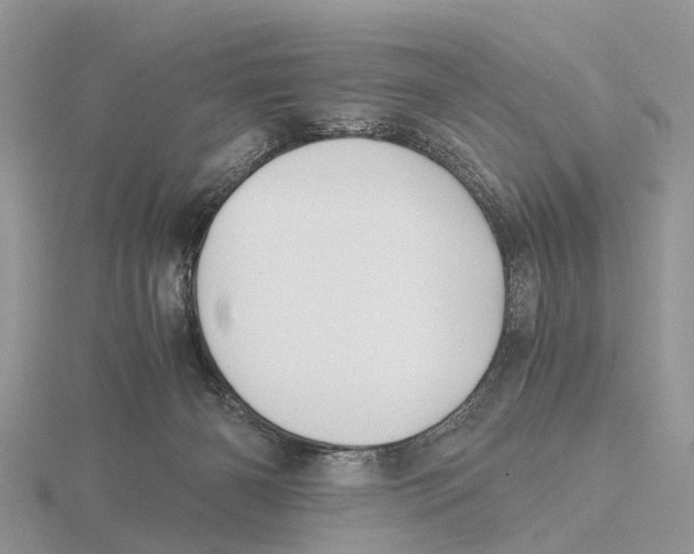 X0000115680126200912101141